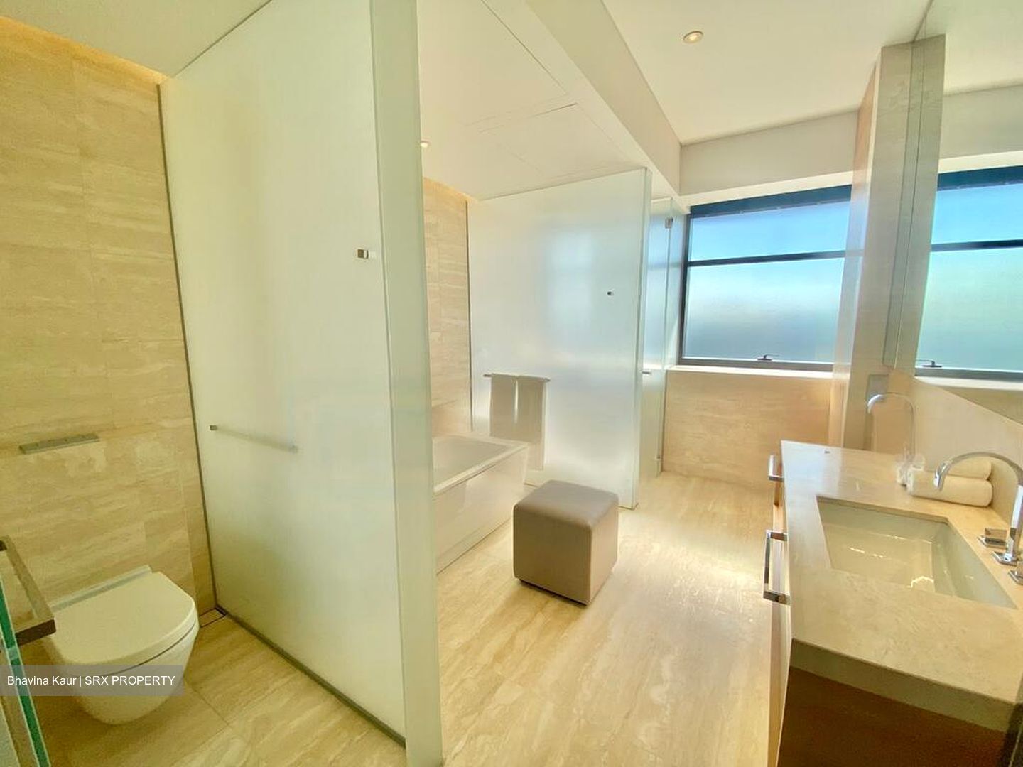 Hana (D10), Condominium #497872761